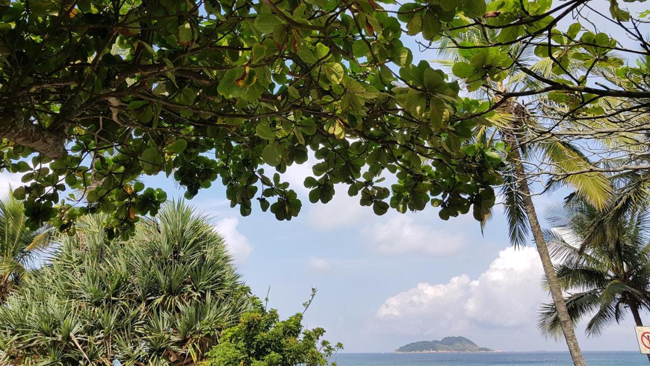 FRENTE PRO MAR - Praia do Tombo - Beachfront A Guarujá Exterior foto